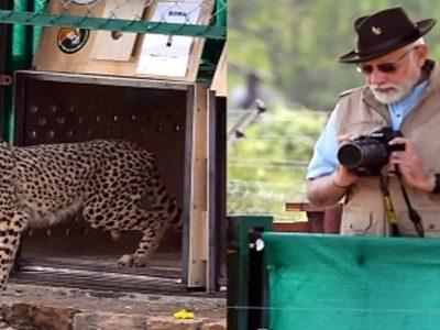 Project Cheetah