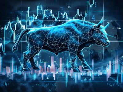 Sarla Performance Fibers Share Price