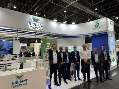 Jubilant Ingrevia Share Price