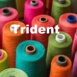 Trident Share Price