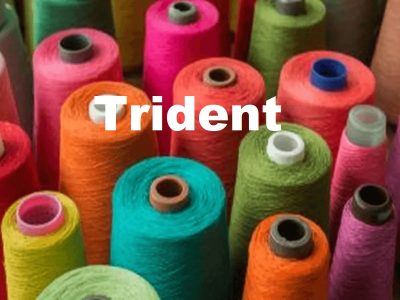 Trident Share Price
