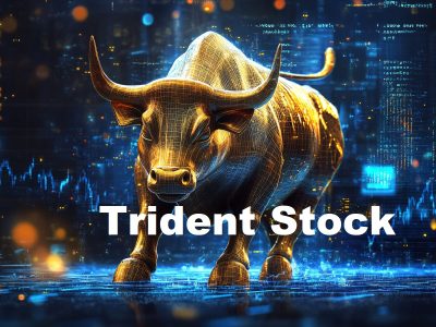 Trident Share Price